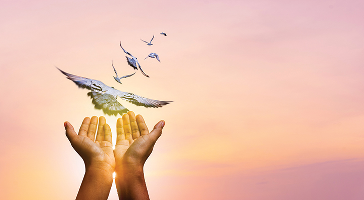 A Prayer for World Peace – Through the Heart of Mary